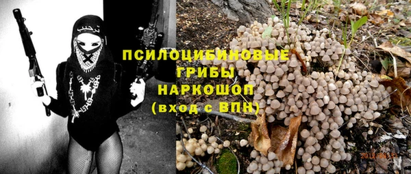 ГАЛЛЮЦИНОГЕННЫЕ ГРИБЫ Гусиноозёрск