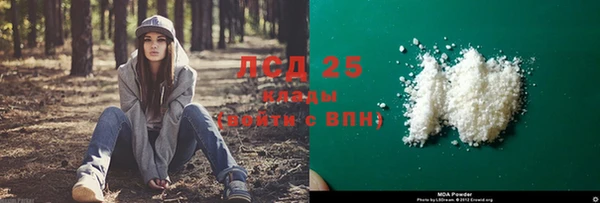 ГАЛЛЮЦИНОГЕННЫЕ ГРИБЫ Гусиноозёрск