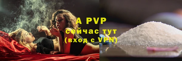 ГАЛЛЮЦИНОГЕННЫЕ ГРИБЫ Гусиноозёрск