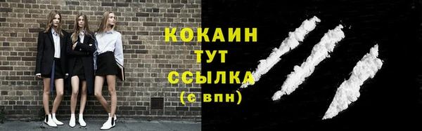 apvp Гусь-Хрустальный