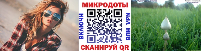 Псилоцибиновые грибы Psilocybine cubensis  Купить  Лысьва 