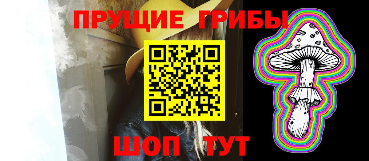 Лысьва  Псилоцибиновые грибы Psilocybine cubensis  Вход с VPN  Псилоцибиновые грибы Psilocybe 